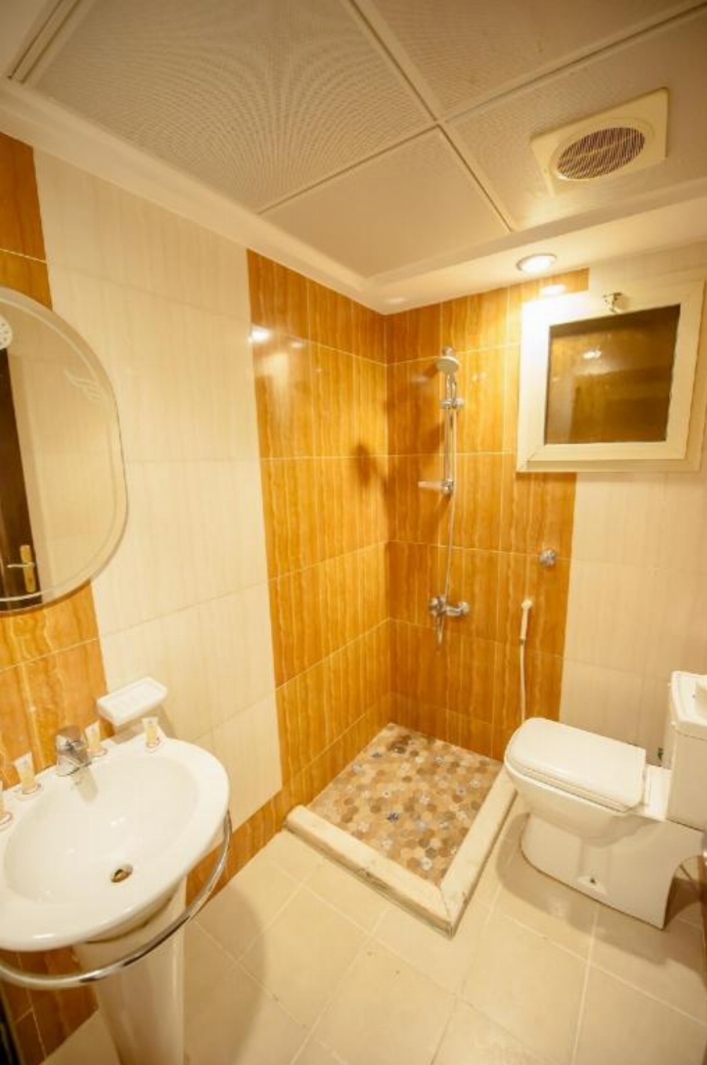 Sadan Plaza Hotel Main image